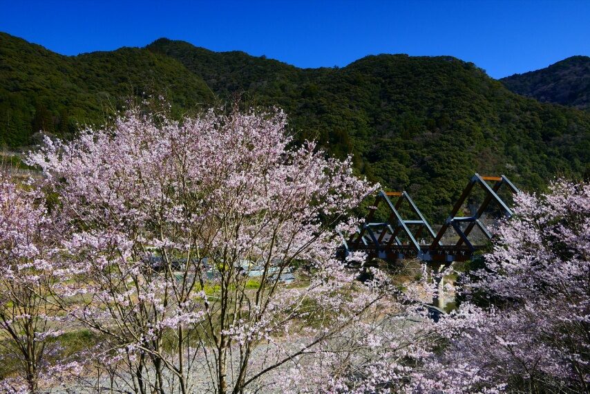 宮崎県西米良村の春-2