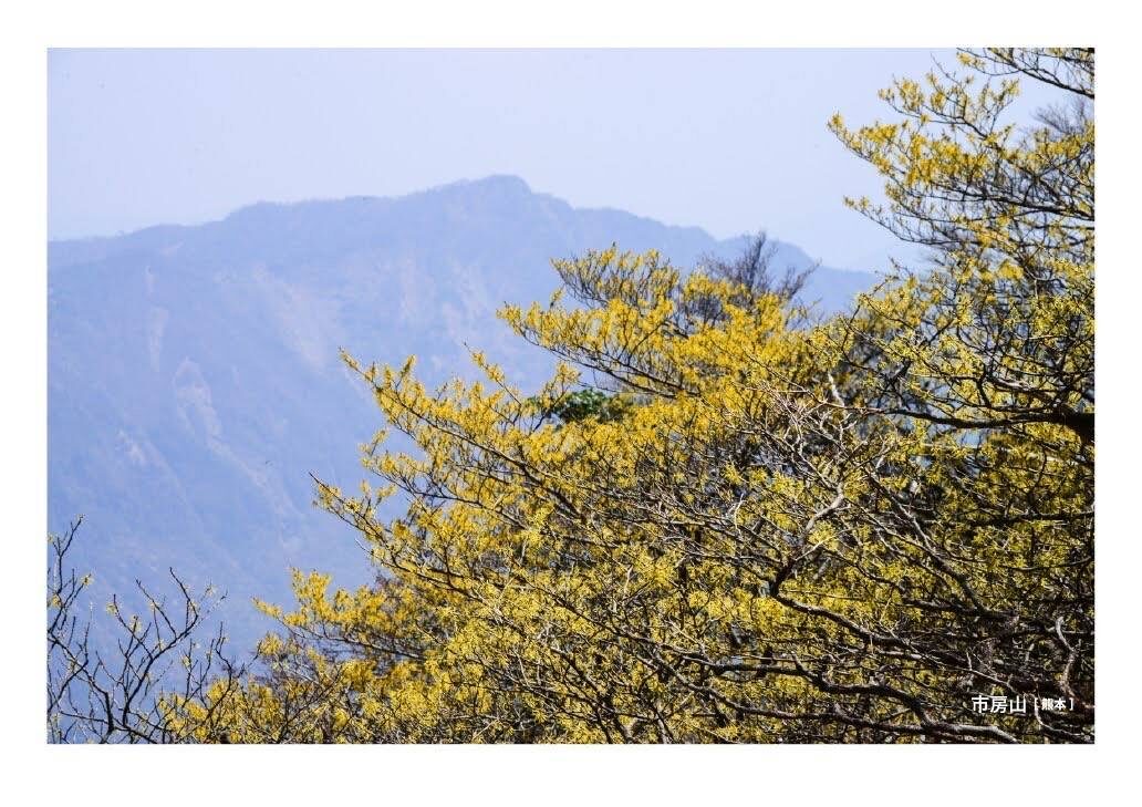 月刊　山學舎　【３月号】-4