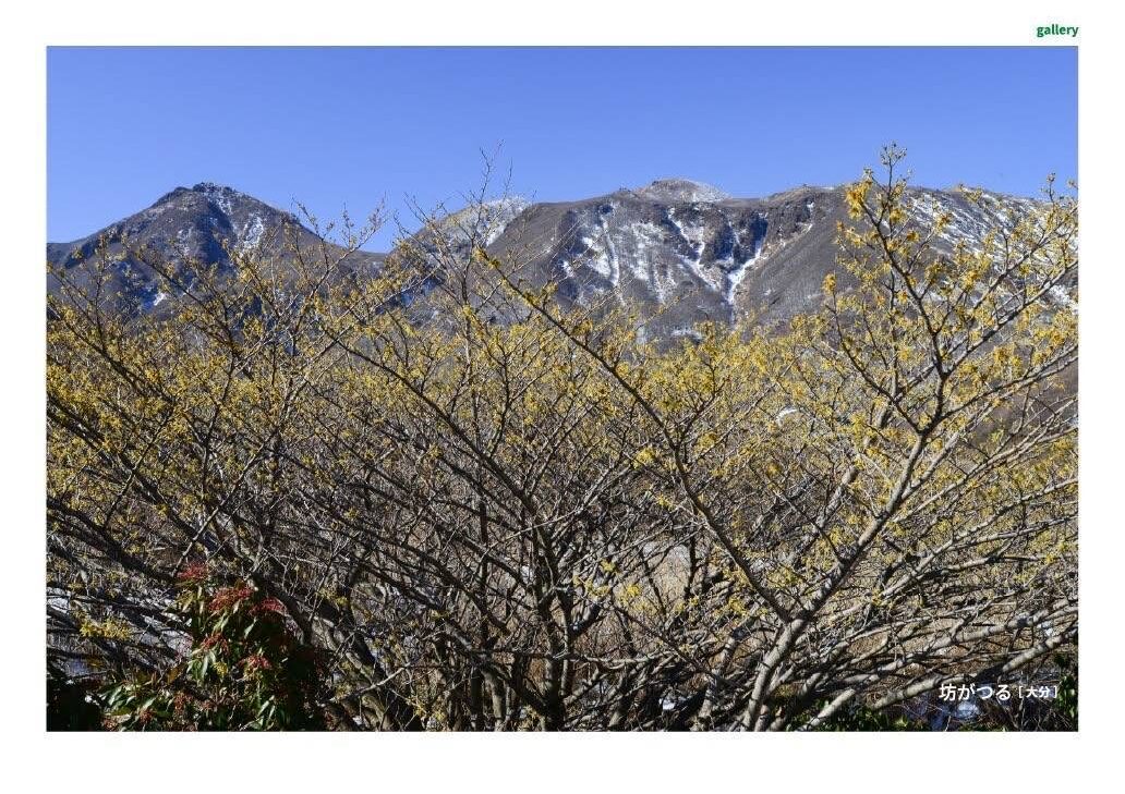 月刊　山學舎　【３月号】-3