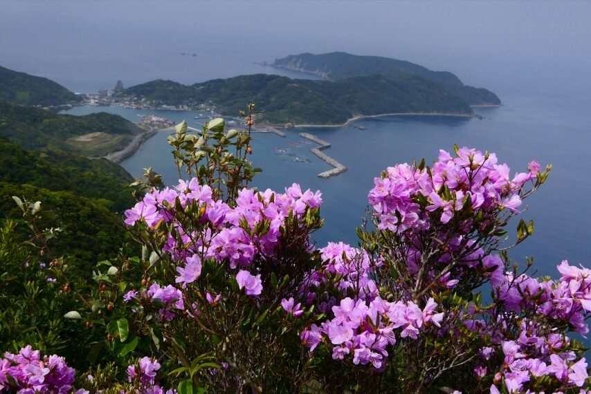 眼下に野間池～野間岬