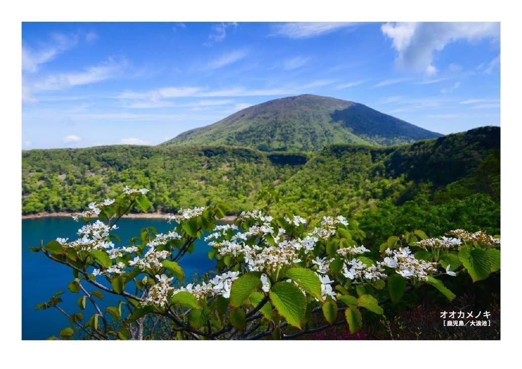 月刊　山學舎　【４月号】-4