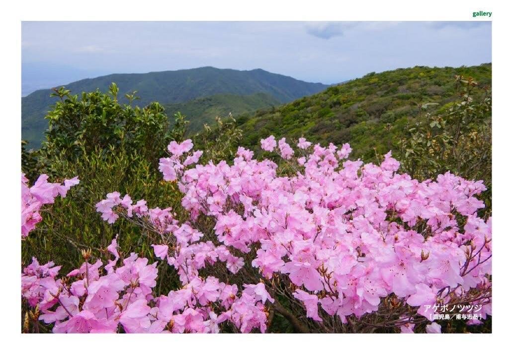 月刊　山學舎　【４月号】-3