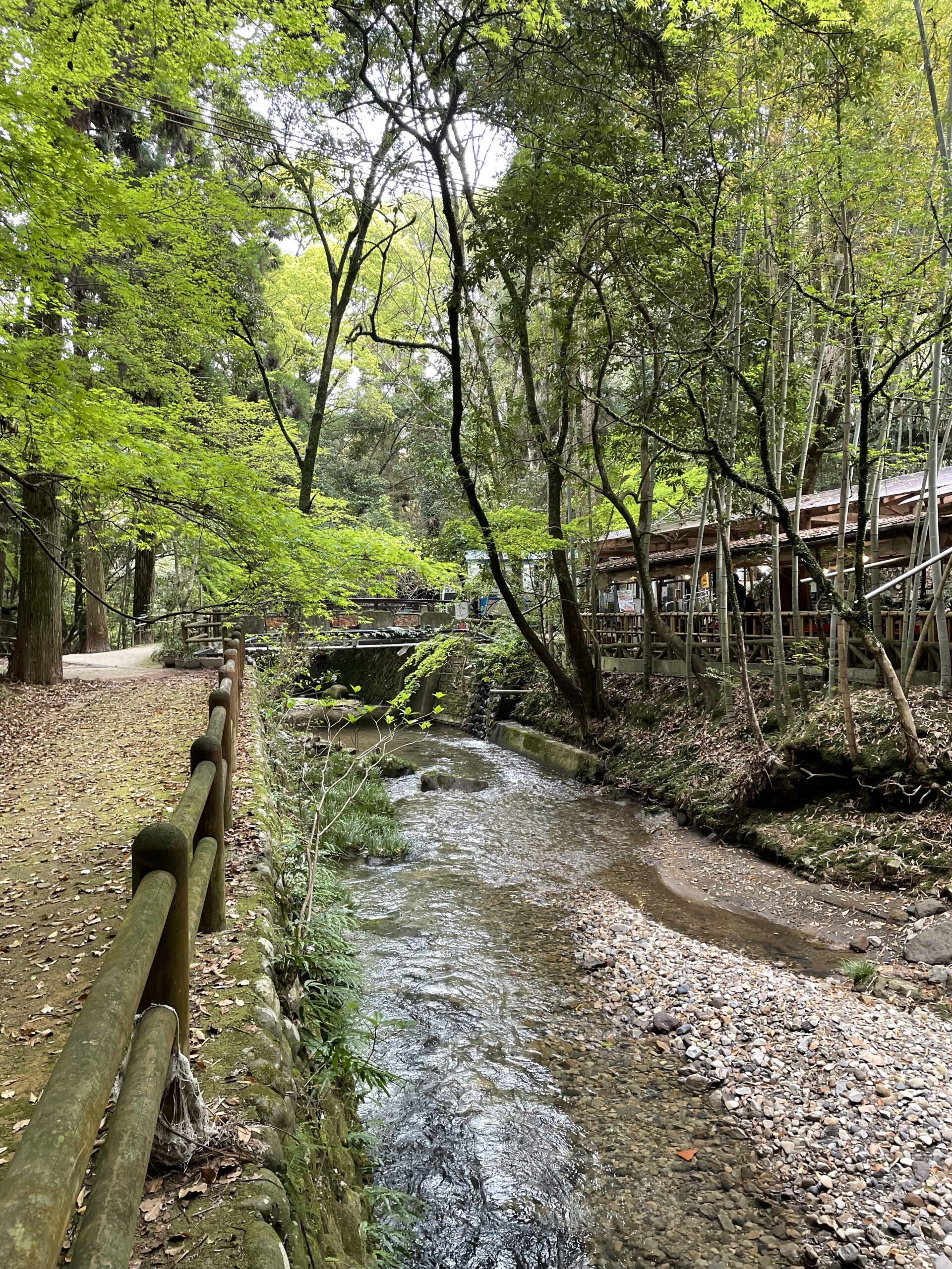 慈眼寺公園ソーメン流し-1